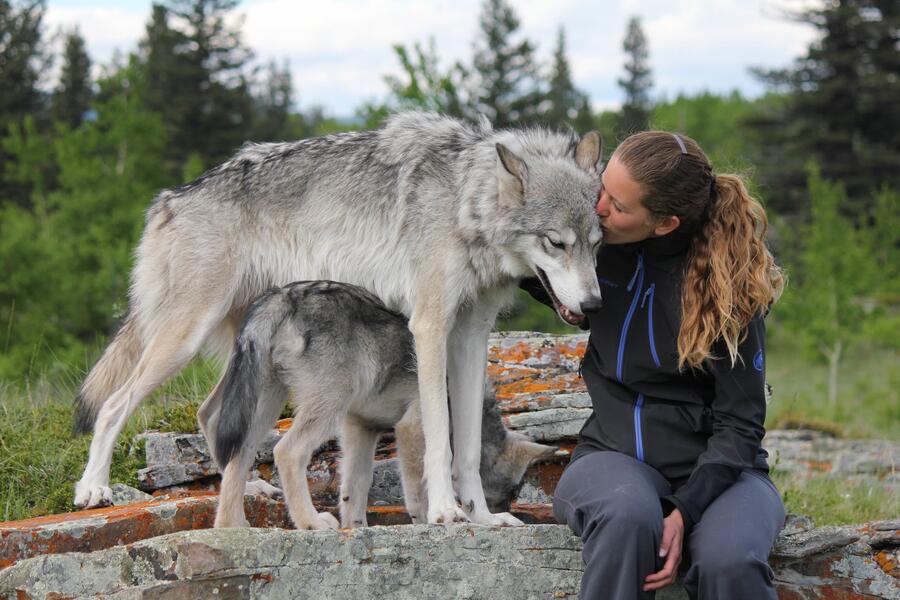 georgina kissing wolfdog