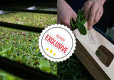 Exclusive Tour: Deepwater Farms | May 25