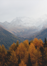 Why it’s Good to Be Grateful Beyond Thanksgiving