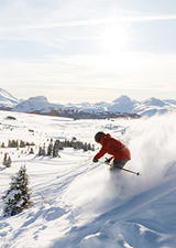 Lift Passes
