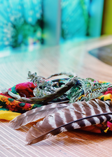 TELUS Spark Indigenous Science