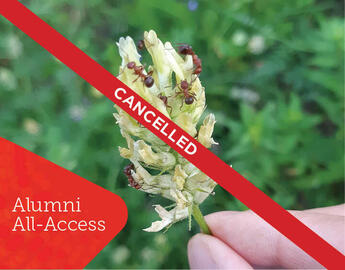 A person holding a leaf covered in zombie ants with a red "Cancelled" banner across it.